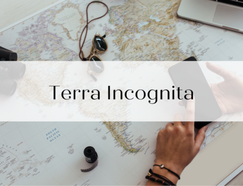 Terra Incognita – Η ζωή σε εδάφη αχαρτογράφητα